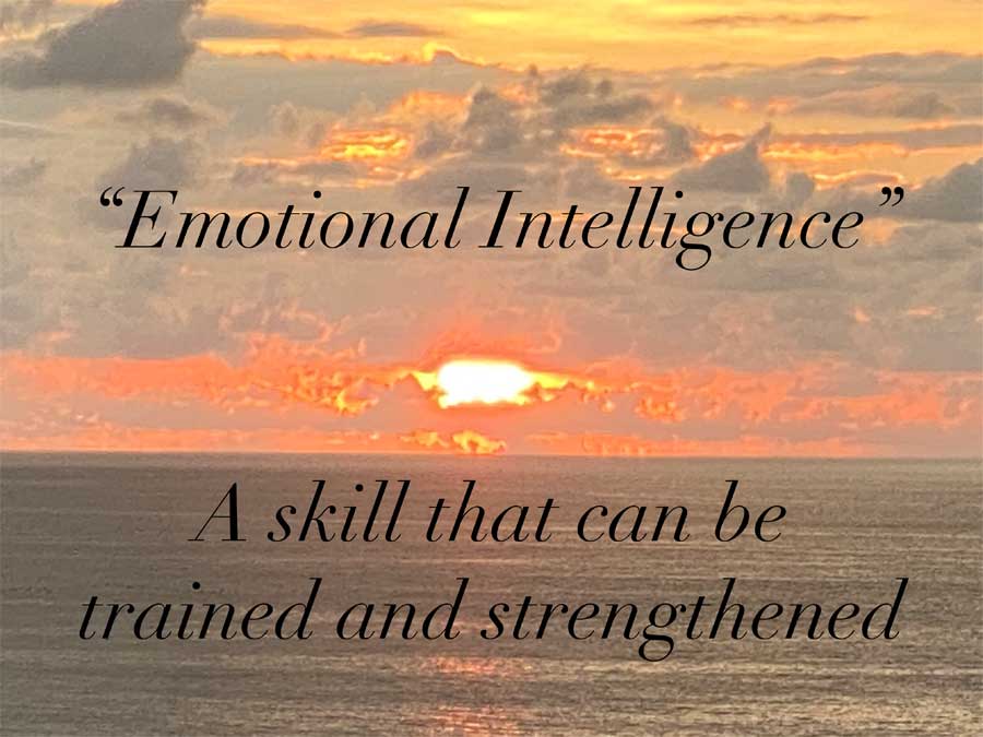 Oasis4Humanity- Emotional Intelligence